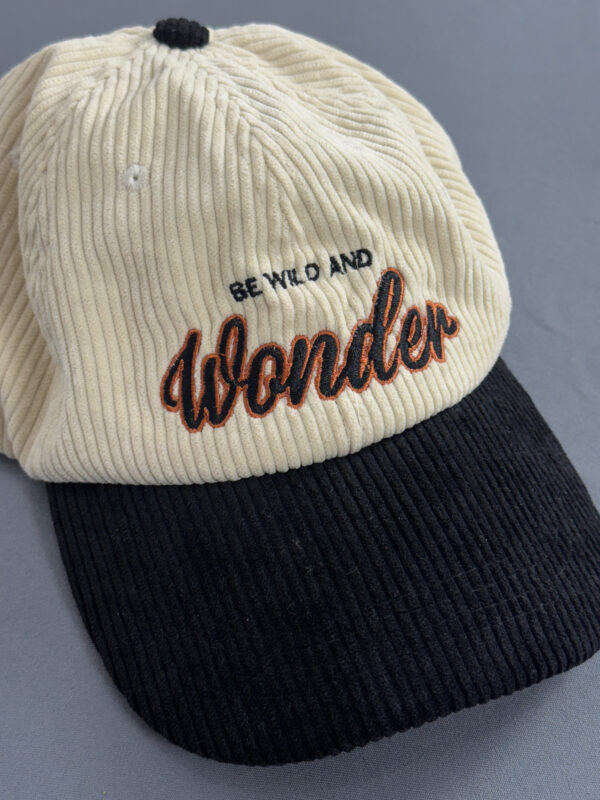 Boné Baseball Vintage Veludo - Imagem 2