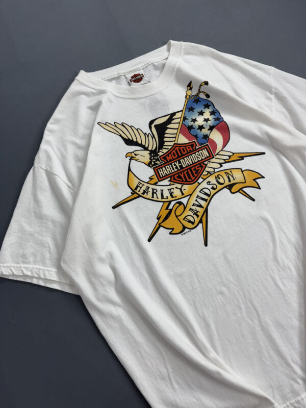 Camiseta Harley Davidson - Black Hills - Imagem 3