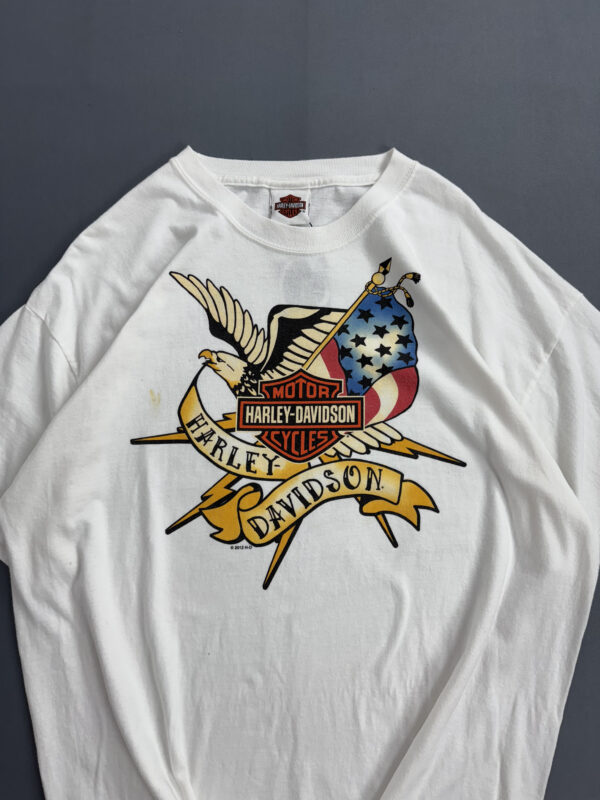 Camiseta Harley Davidson - Black Hills - Imagem 2