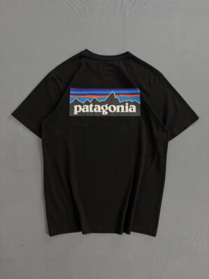 Camiseta Patagonia - Basic