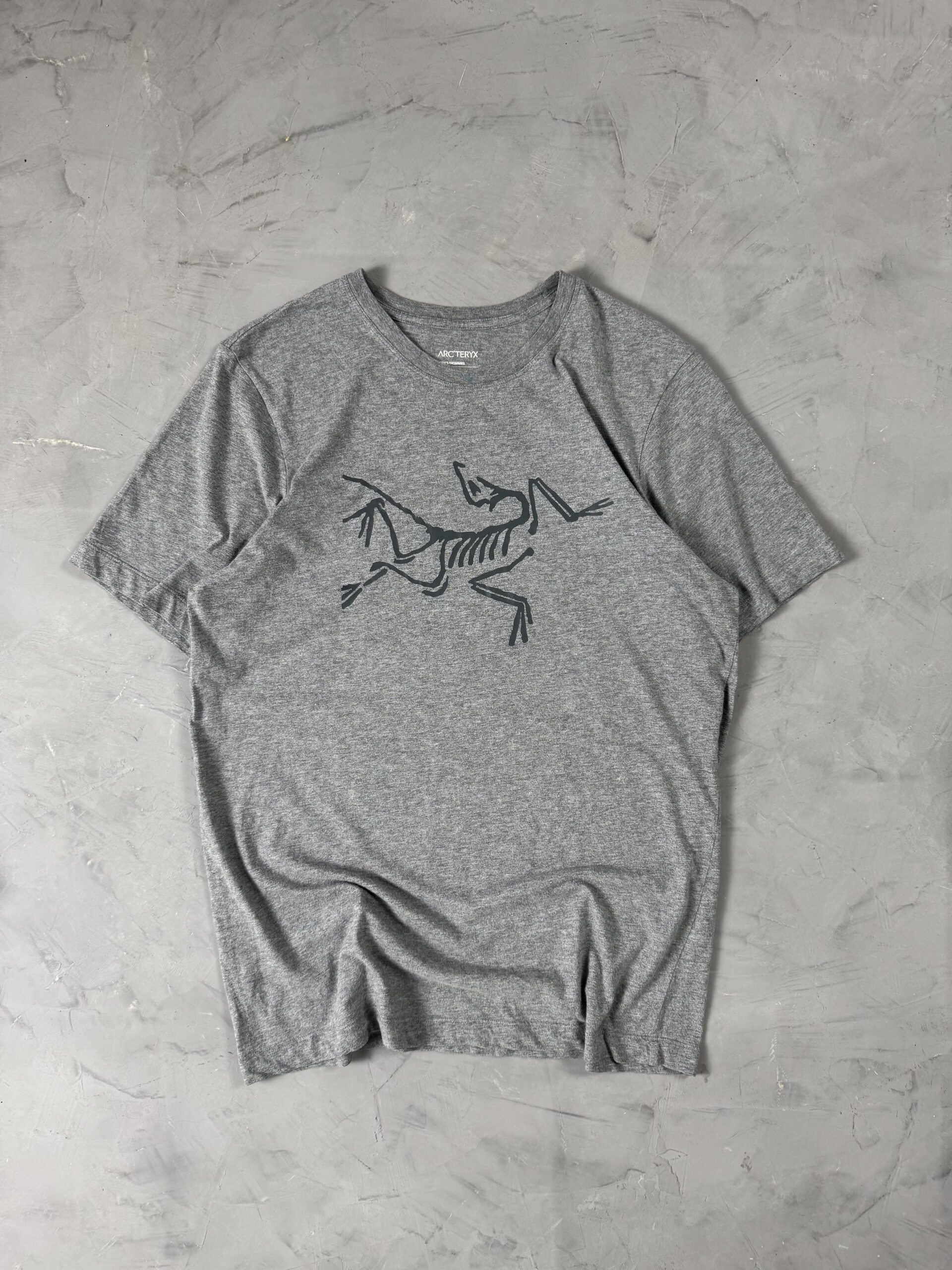 Camiseta Arc'teryx Archaeopteryx