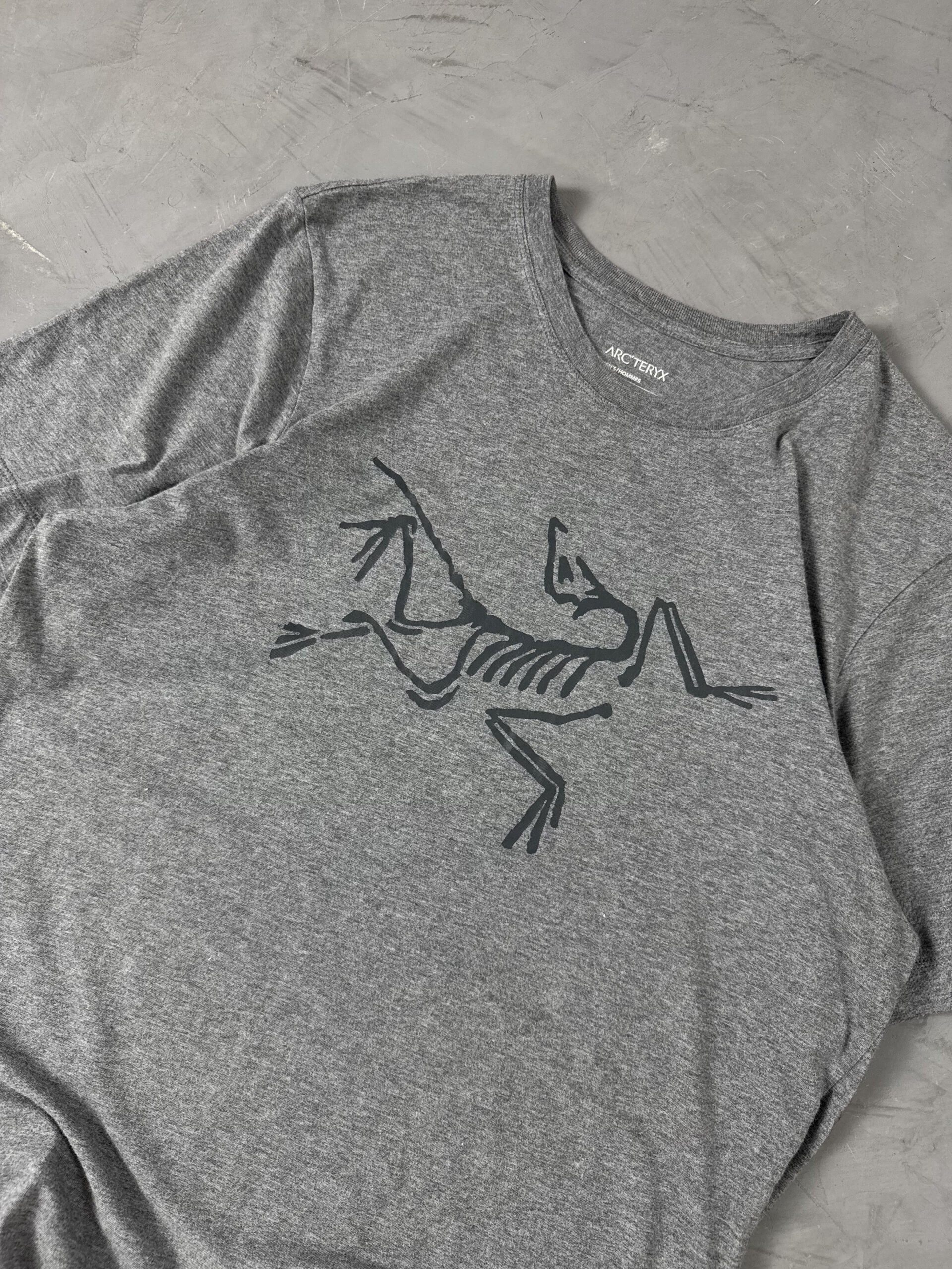 Camiseta Arc'teryx Archaeopteryx - Imagem 2