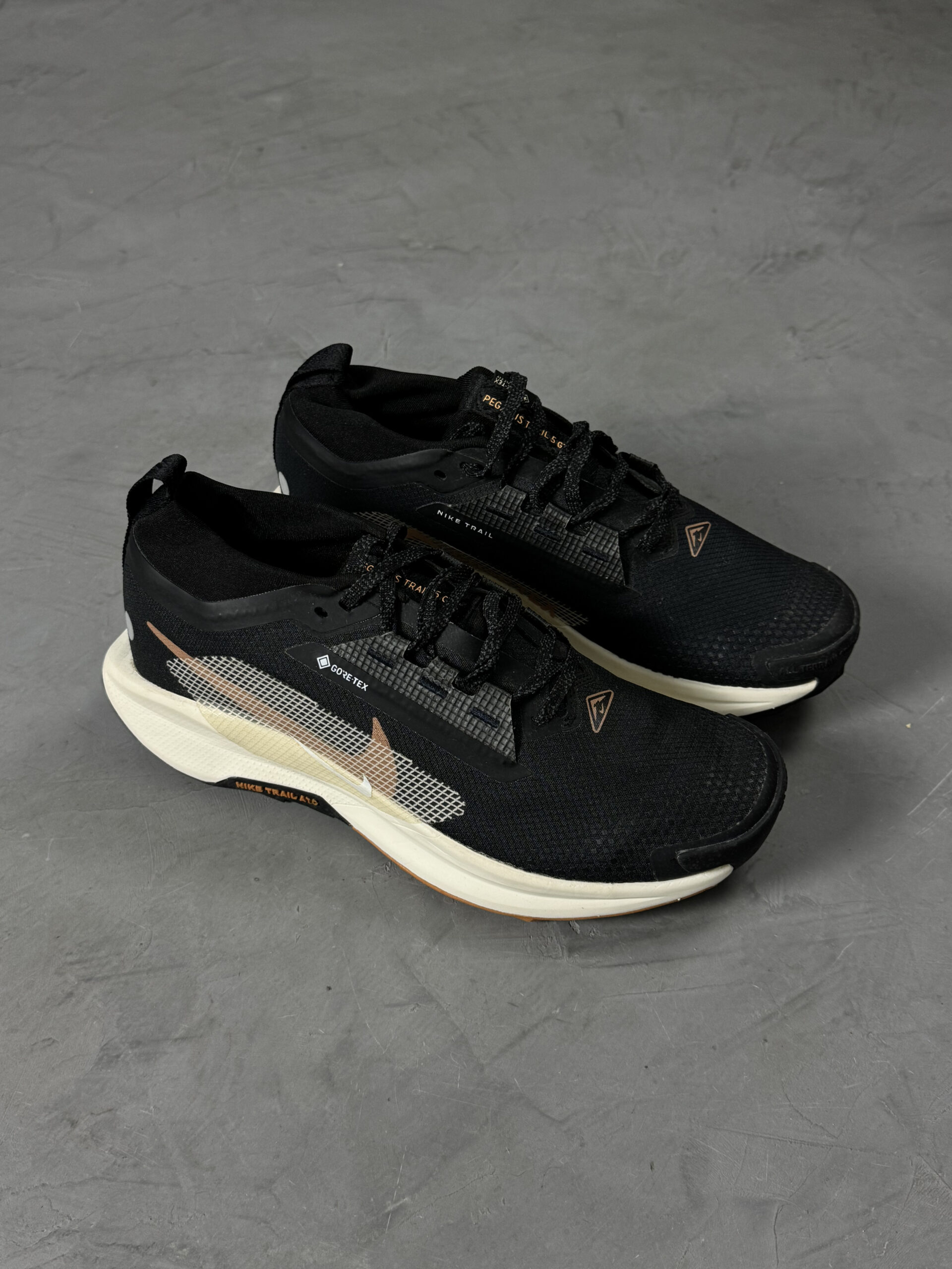 Sneakers Nike Pegasus Trail 5 GORE-TEX